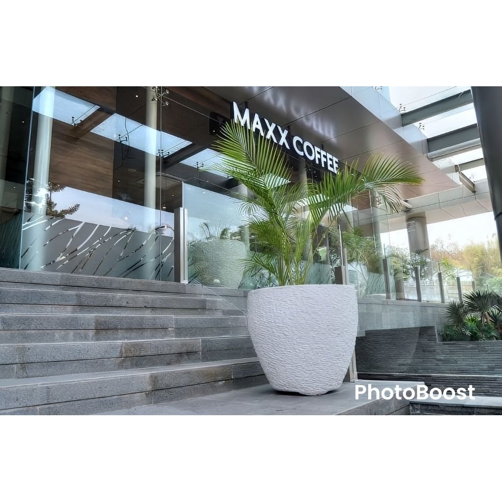 pot tanaman teraso putih cacak timbul