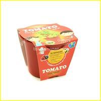 

Paris Garden Bibit Tanaman Tomat Bio Pot Kids