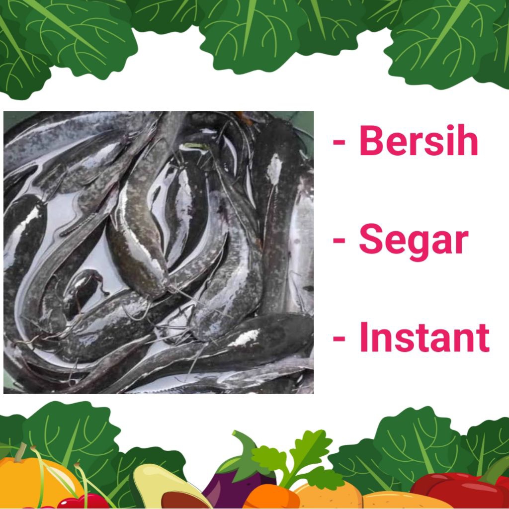 

IKAN LELE SEGAR & BERSIH - PALEMBANG