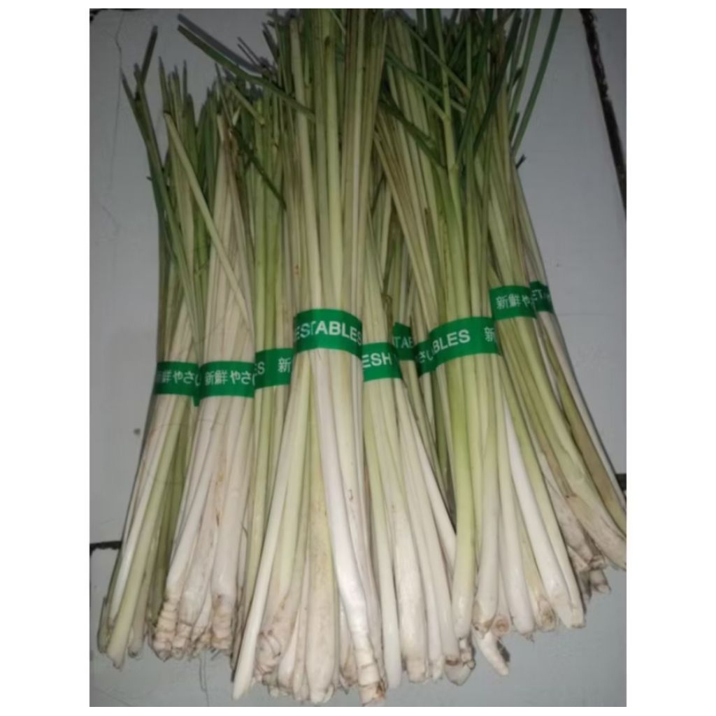 

DAUN SEREH SEGAR / DAUN SERAI SEGAR DIPETIK DADAKAN