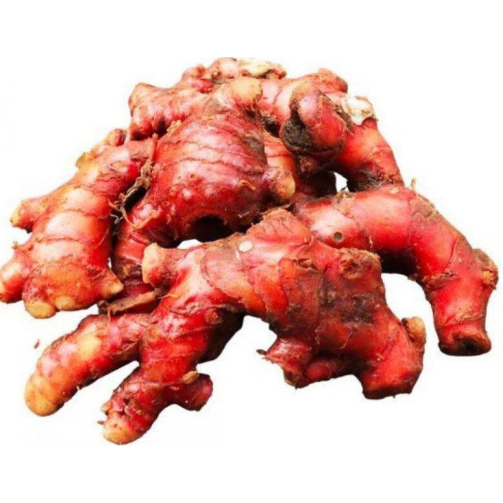 

Jahe merah untuk kesehatan herbal dan alami