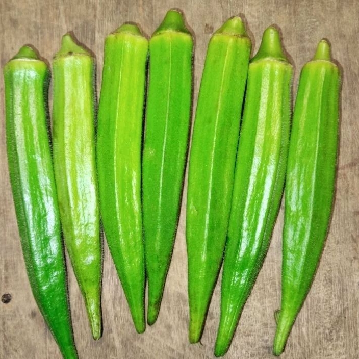 

OKRA FRESH GRADE B 1KG BARU PETIK DARI POHON