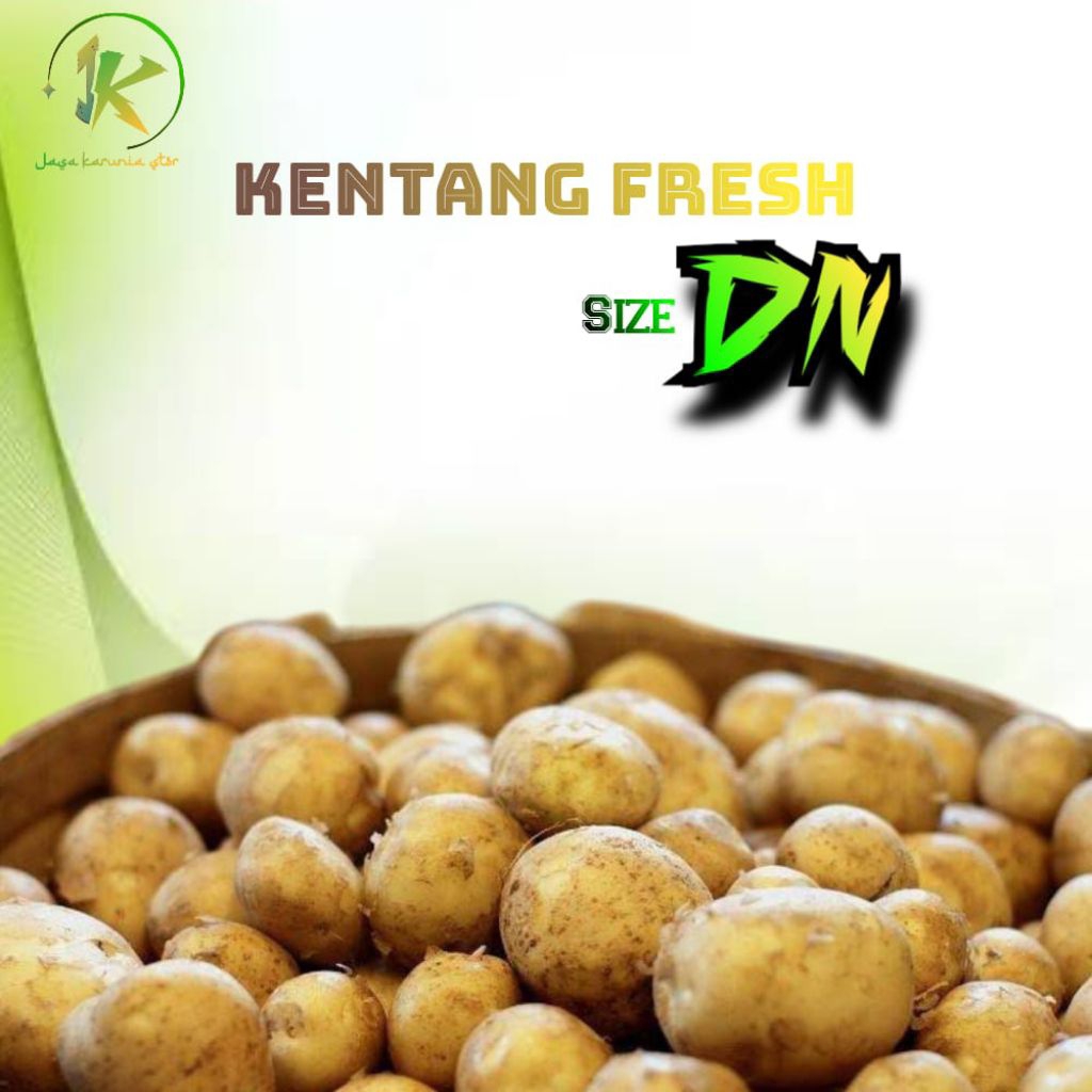 

kentang ukuran DN 1kg/ kentang sedang