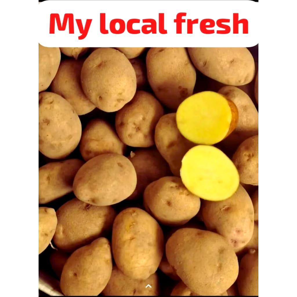 

KENTANG RENDANG/SIOMAY