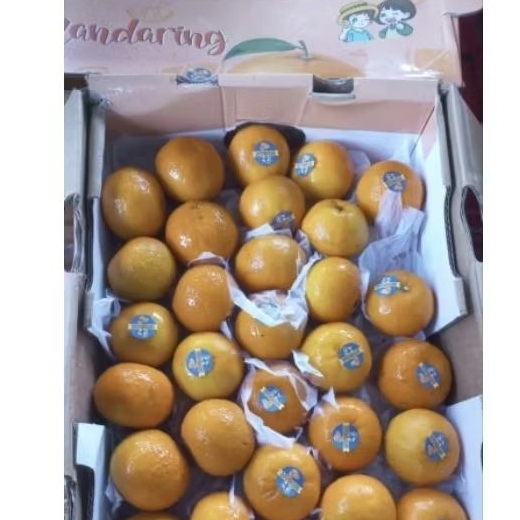 

Jeruk Wogan Bocil Manis 1 Dus 9,5 Kg per box Fresh Jogja