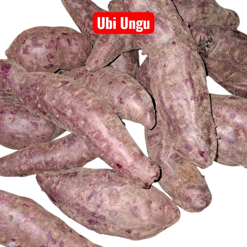 

Ubi Ungu Segar Kaya Nutrisi 1kg