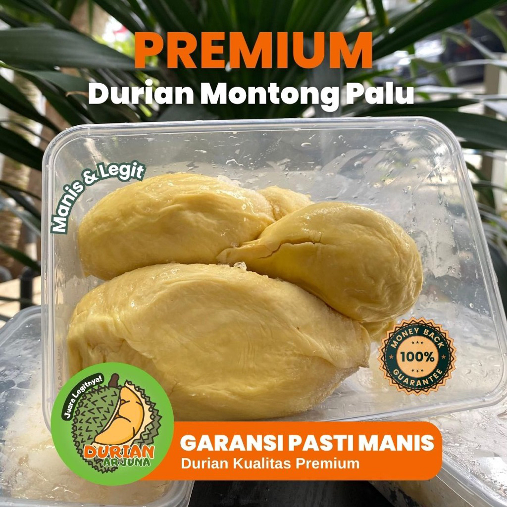 

Montong Palu Premium//Montong Palu Parigi // Montong Palu Parigi Grade A.