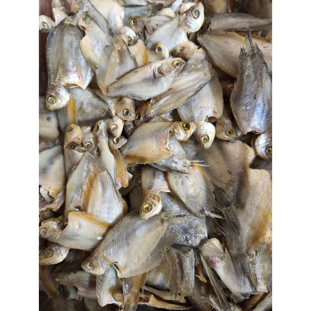 

Ikan Sepat Asin Kering Siap Masak – Rasa Gurih & Enak