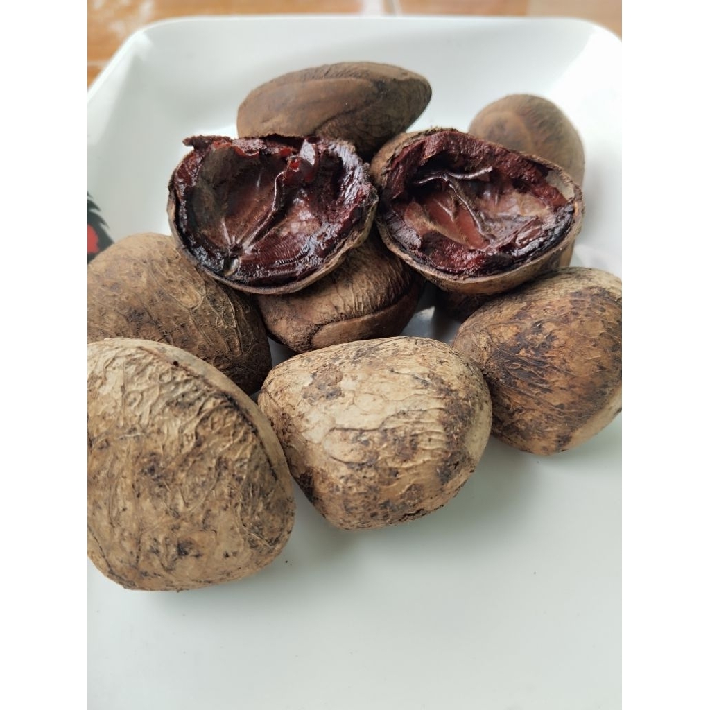 

kluwek buah pucung/picung berat 1kg bumbu rawon murah berkualitas