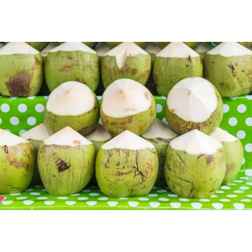 

kelapa muda ijo fresh super seger bisa buat obat per butir
