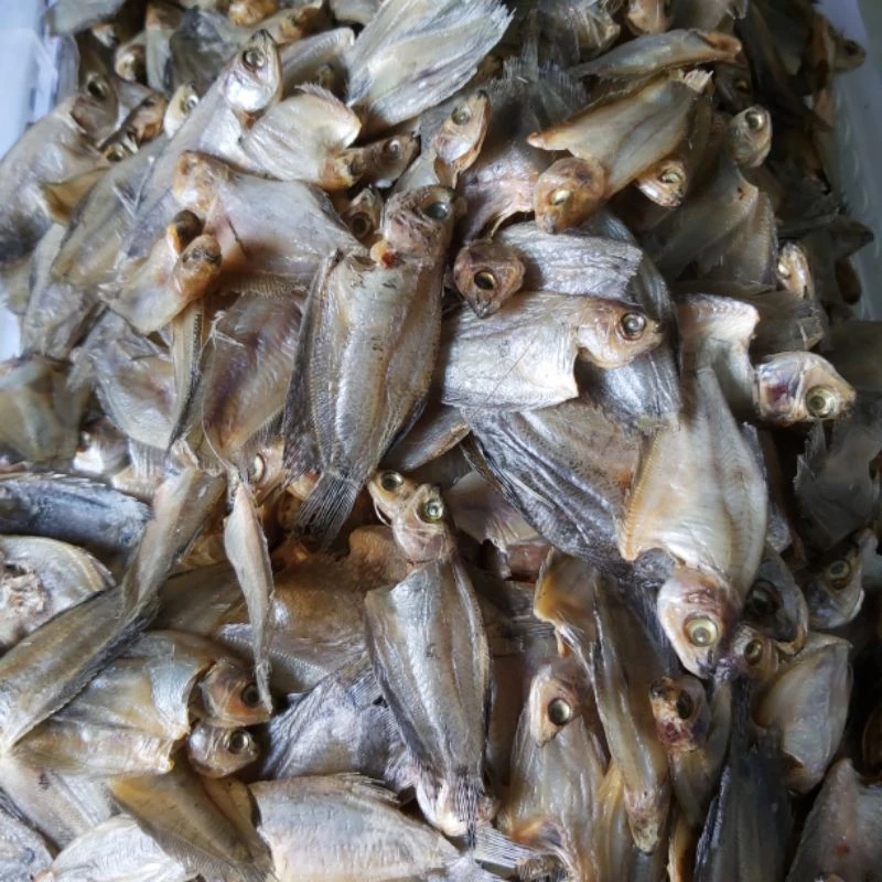 

Ikan Sepat Asin Kering Tradisional – Cocok untuk Sambal & Sayur Asem