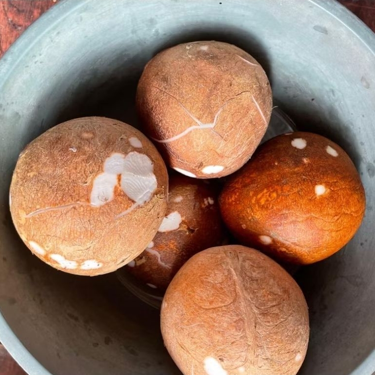 

KIRIM INSTAN kelapa sayur