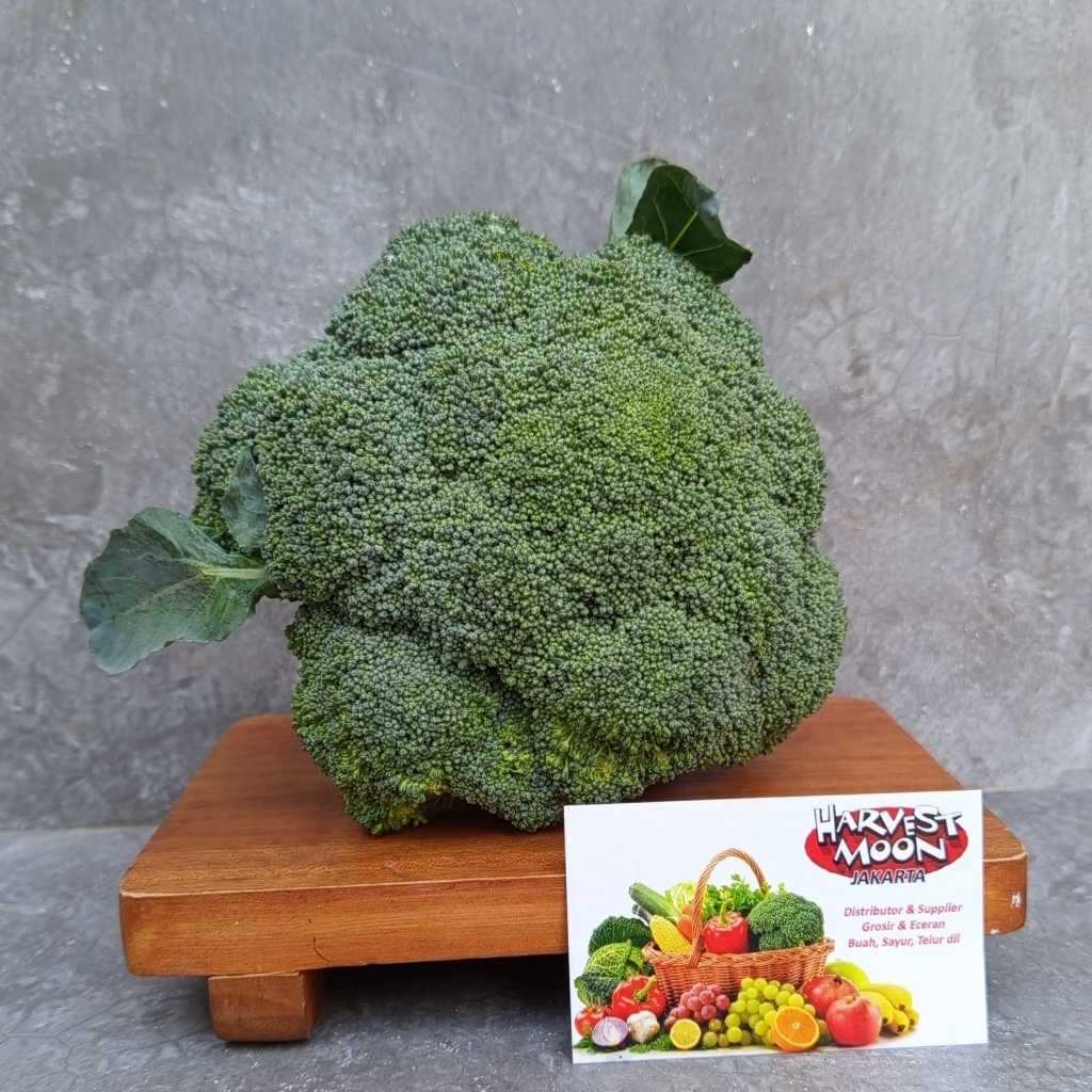 

HarvestMoon Brokoli Import Per Dus