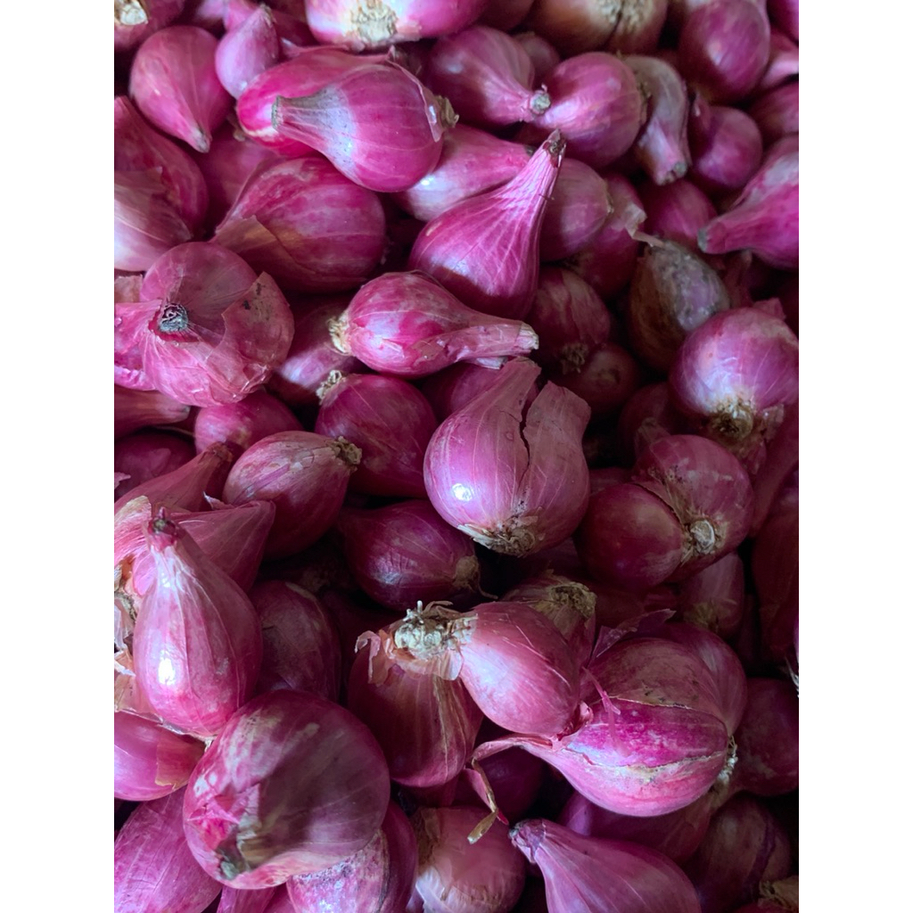 

Bawang Merah super kering Lokal Berkualitas 250gr