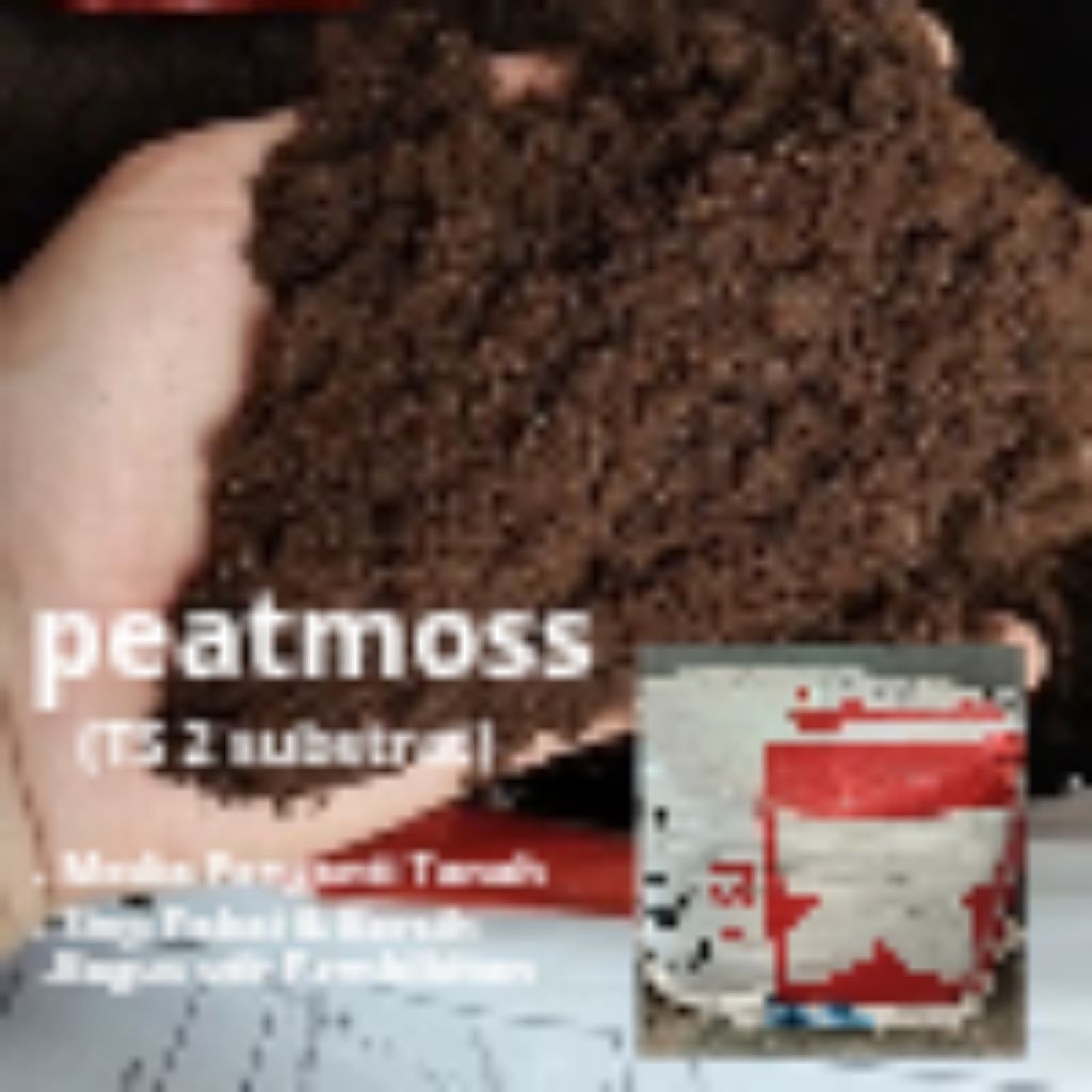 peatmoss TS2 sphagnum klasmann deilmann import 500gram-1kg / media tanam
