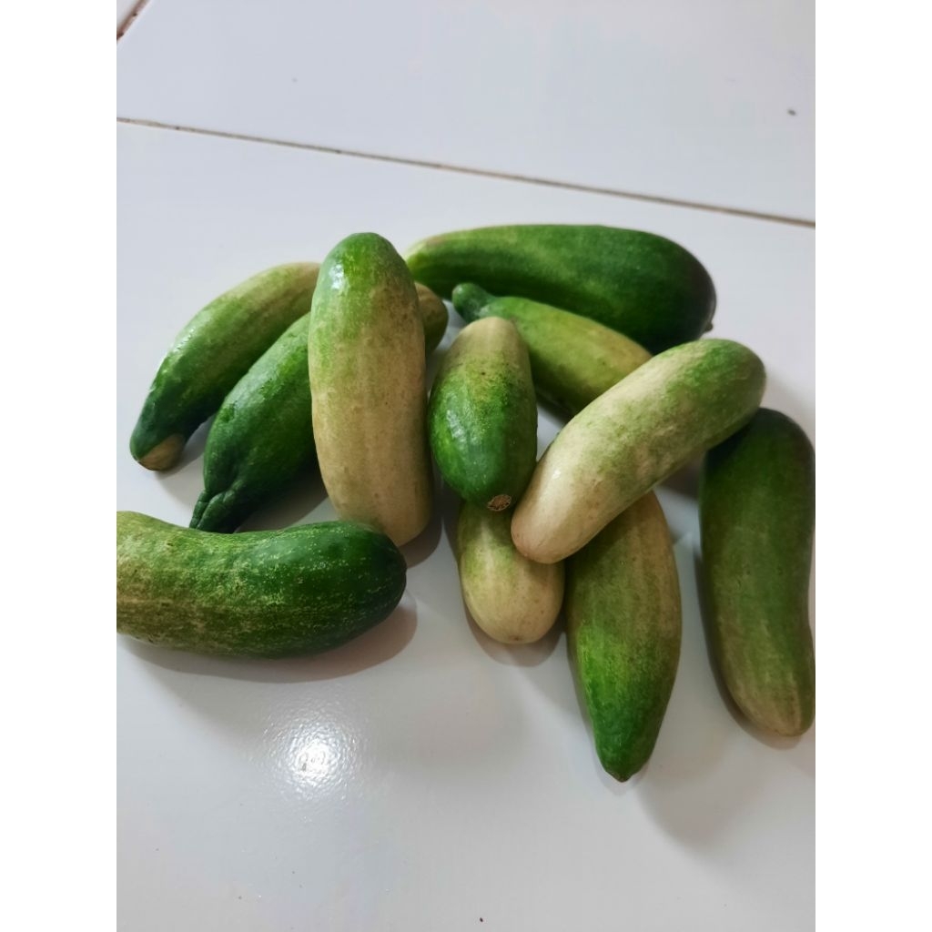 

Mentimun segar cocok buat bikin sambel