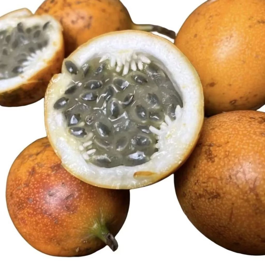 

jual 1 kg buah markisa madu/ konyal madu super manis dan segar