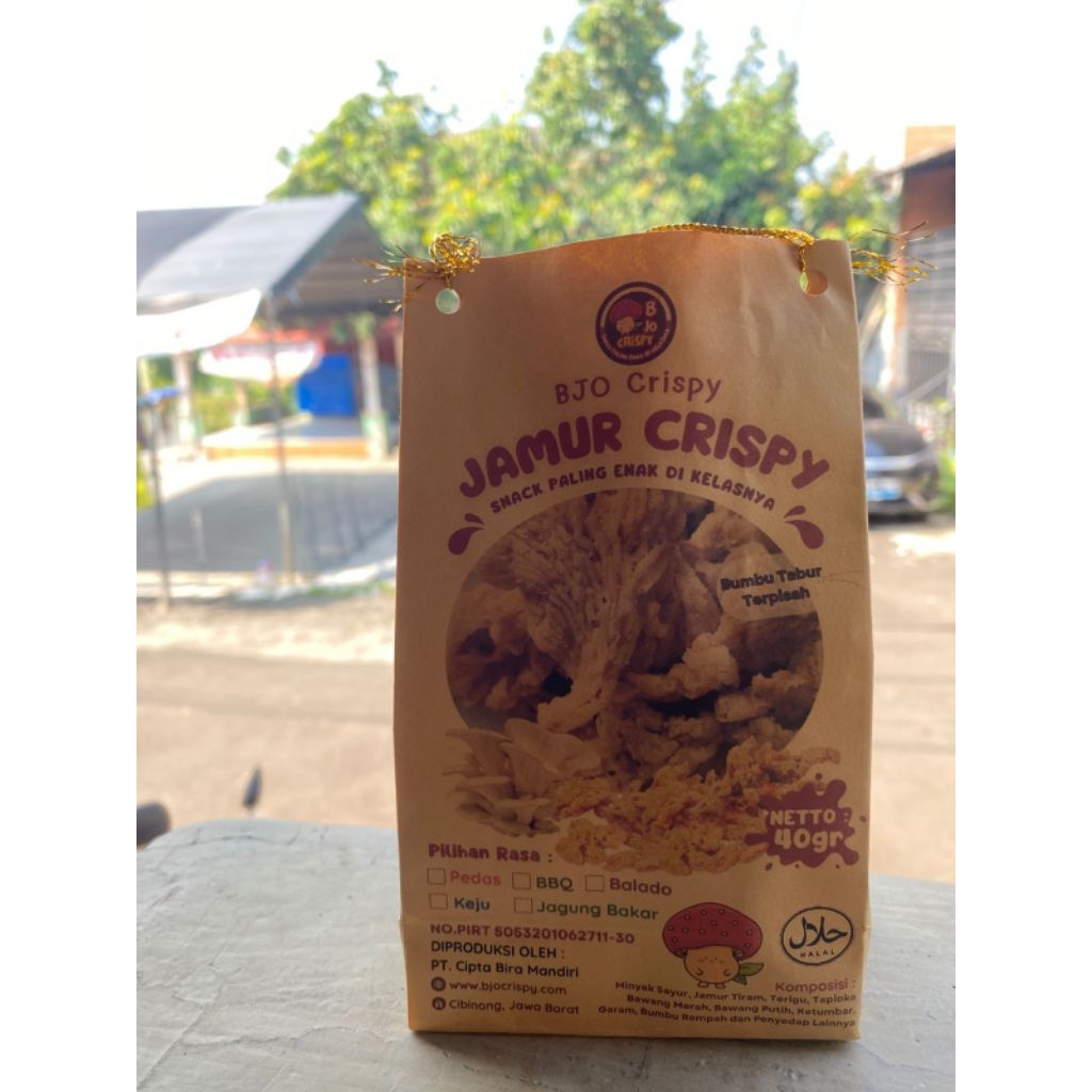 

Snack Jamur Tiram Crispy BJOCRISPY - kemasan 40gram - camilan sehat keluarga