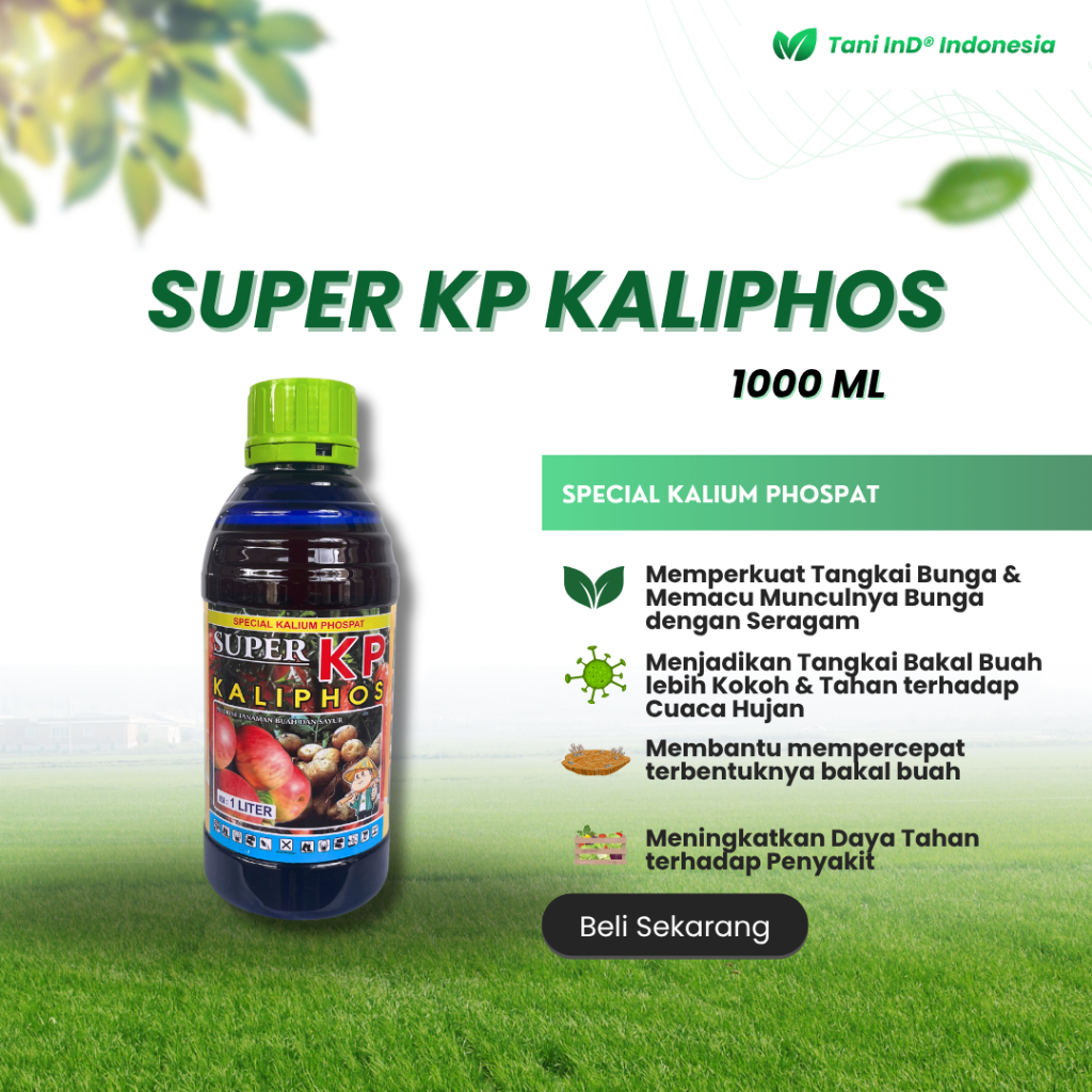 Super KP Kalium Phospat 1000 ml untuk Memperbesar dan Menambah Bobot Buah dan Umbi-umbian