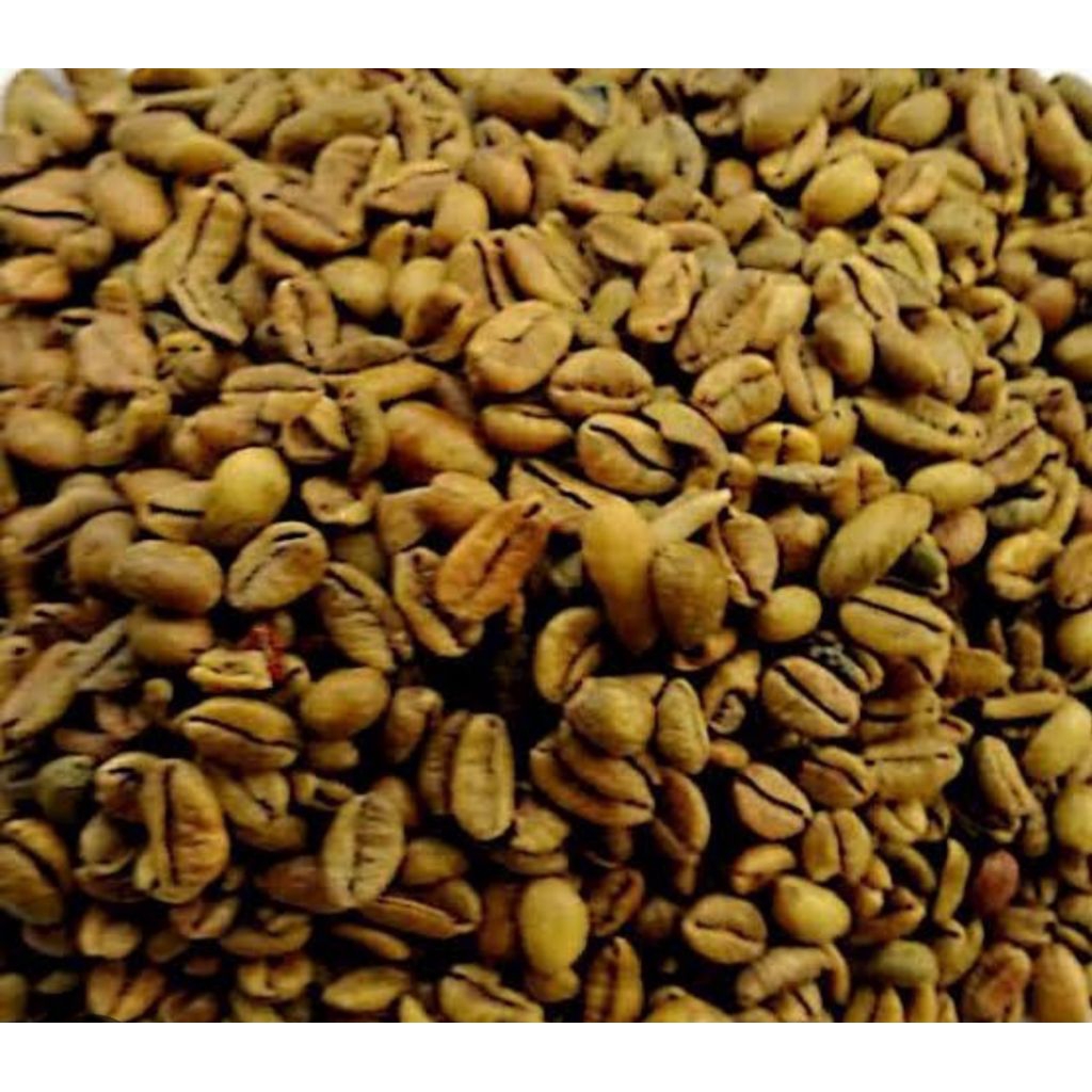 

biji kopi Excelso Java Arabica 1kg grade A2 mentah