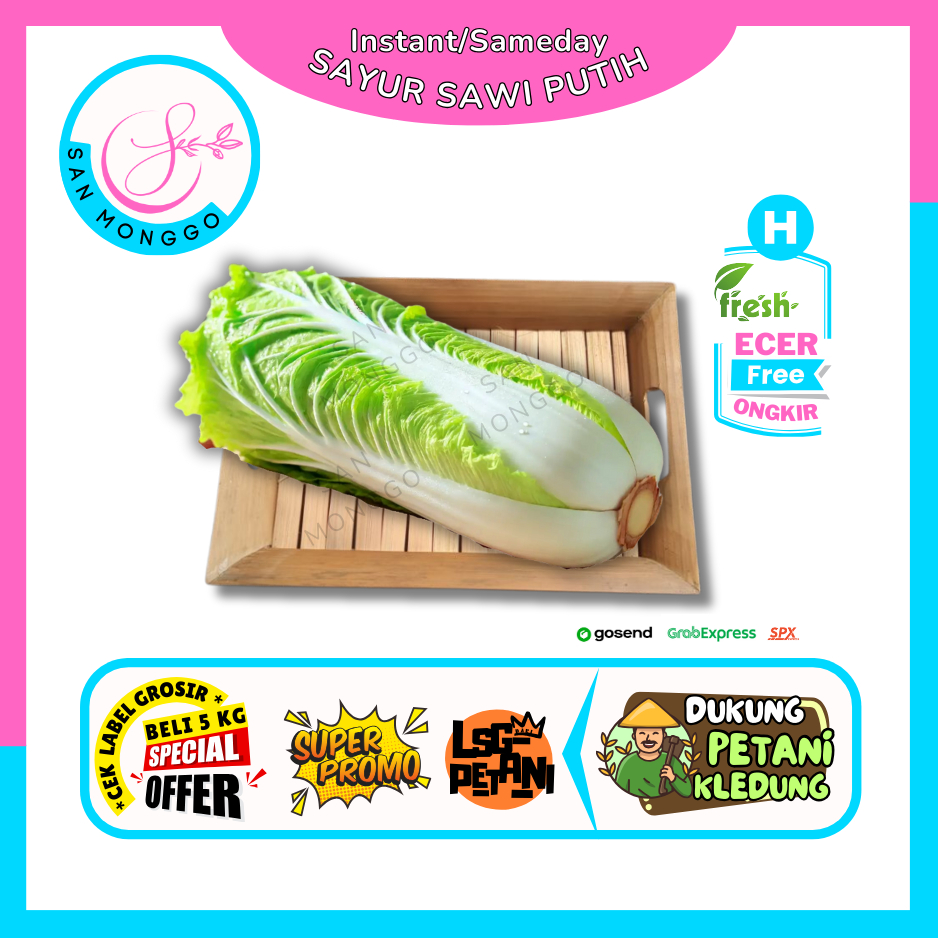 

Sanmonggoo >> Sawi Putih -- Hasil Bumi Sindoro Sumbing Ecer (H)