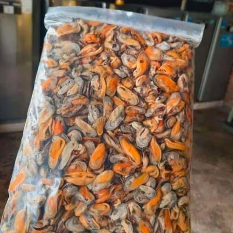 

Kerang Hijau Kupas Segar Daging Kerang Hijau Kerang Ijo 1Kg