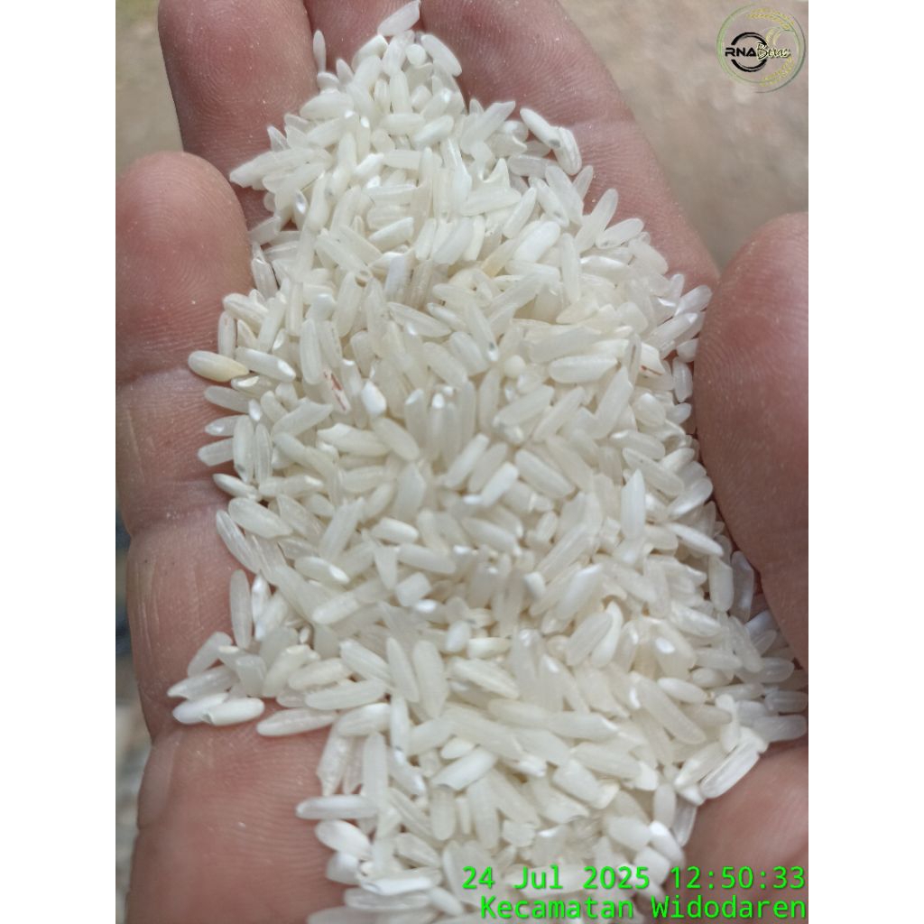 

Beras murah bulog eceran