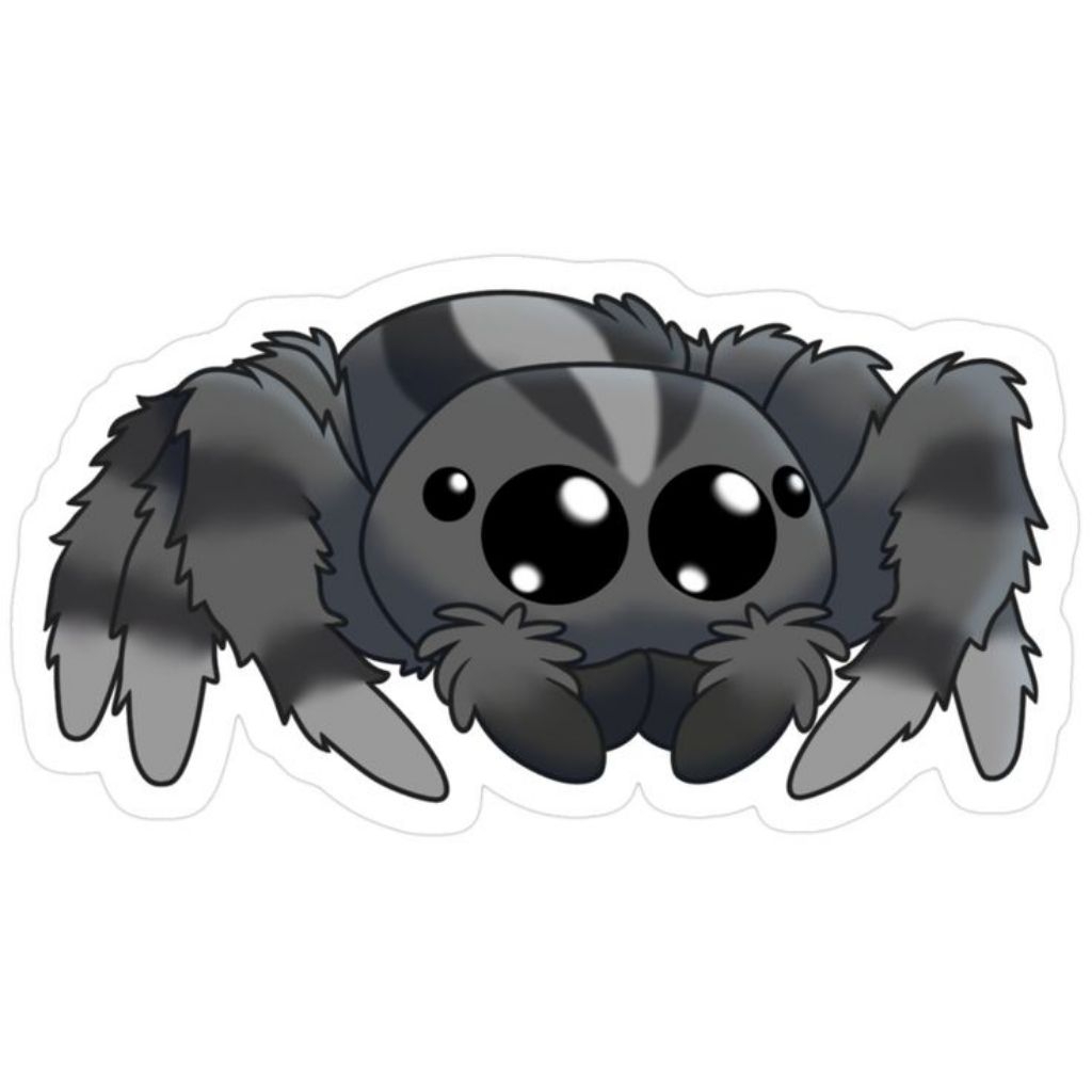 hiasan terarium jumping spider