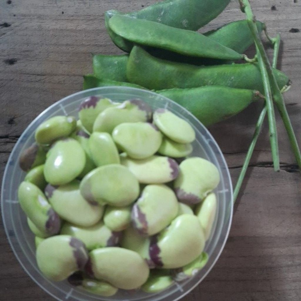 

Koro bethok koncek / kupas fresh