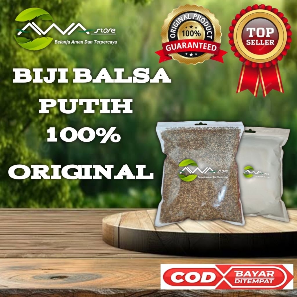 Biji balsa putih benih unggul 10.000+ butir kualitas super.