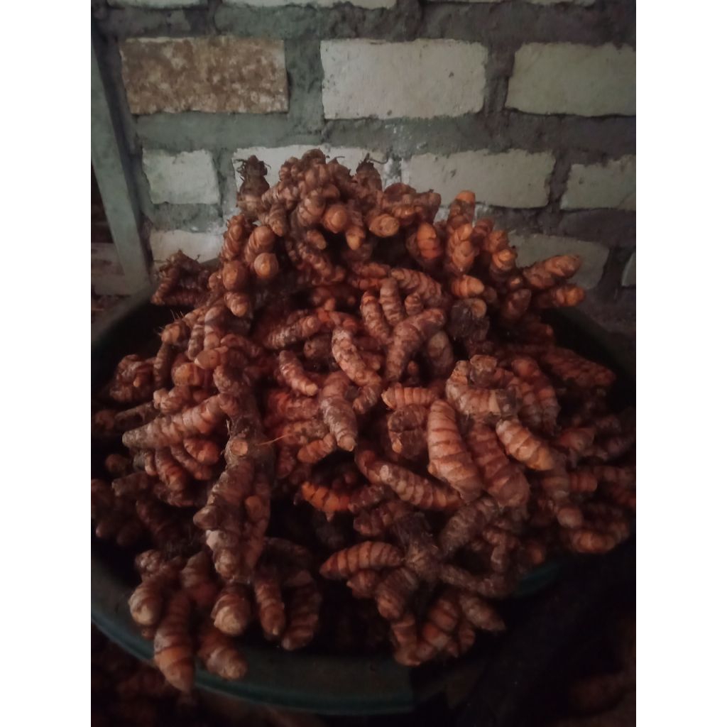 

kunyit buat masak dan buat jamur