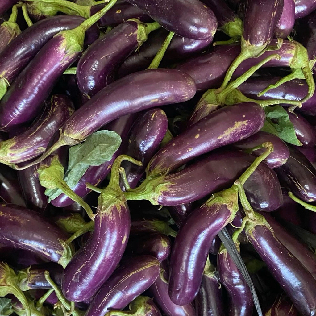 

Terong Lokal Fresh 500g / 1 kg