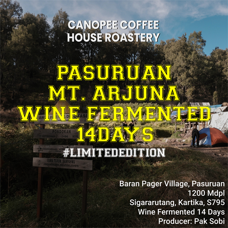 

Arabika "PASURUAN MT. Arjuno Natural Anggur / WNE Process" - Limited Edition Series