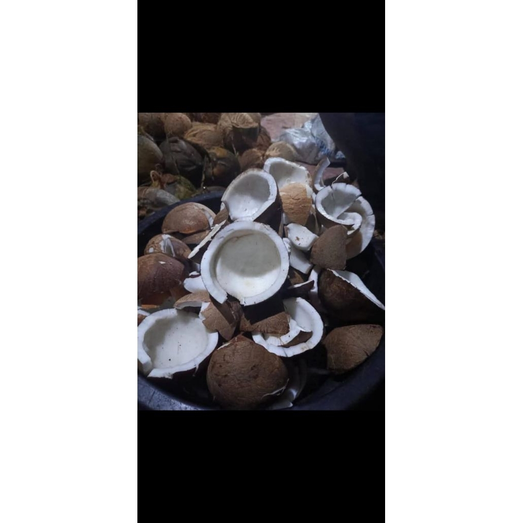 

kelapa kopra 1 Kg