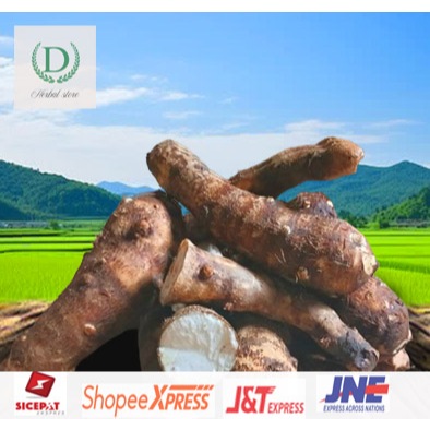 

#Umbi Talas Gajah Puleun dangat bergizi bersih sehat