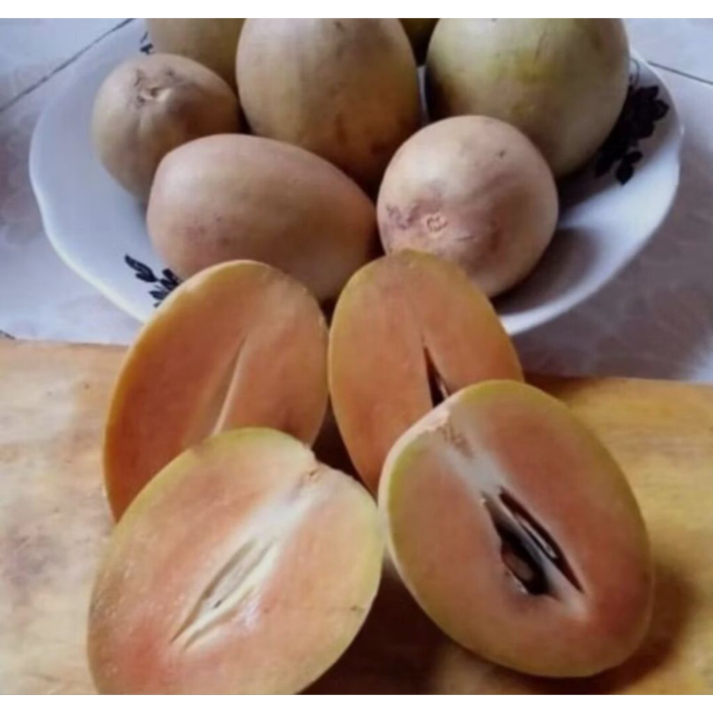 

Buah sawo madu super manis 1kg siap Mateng khas pangandaran