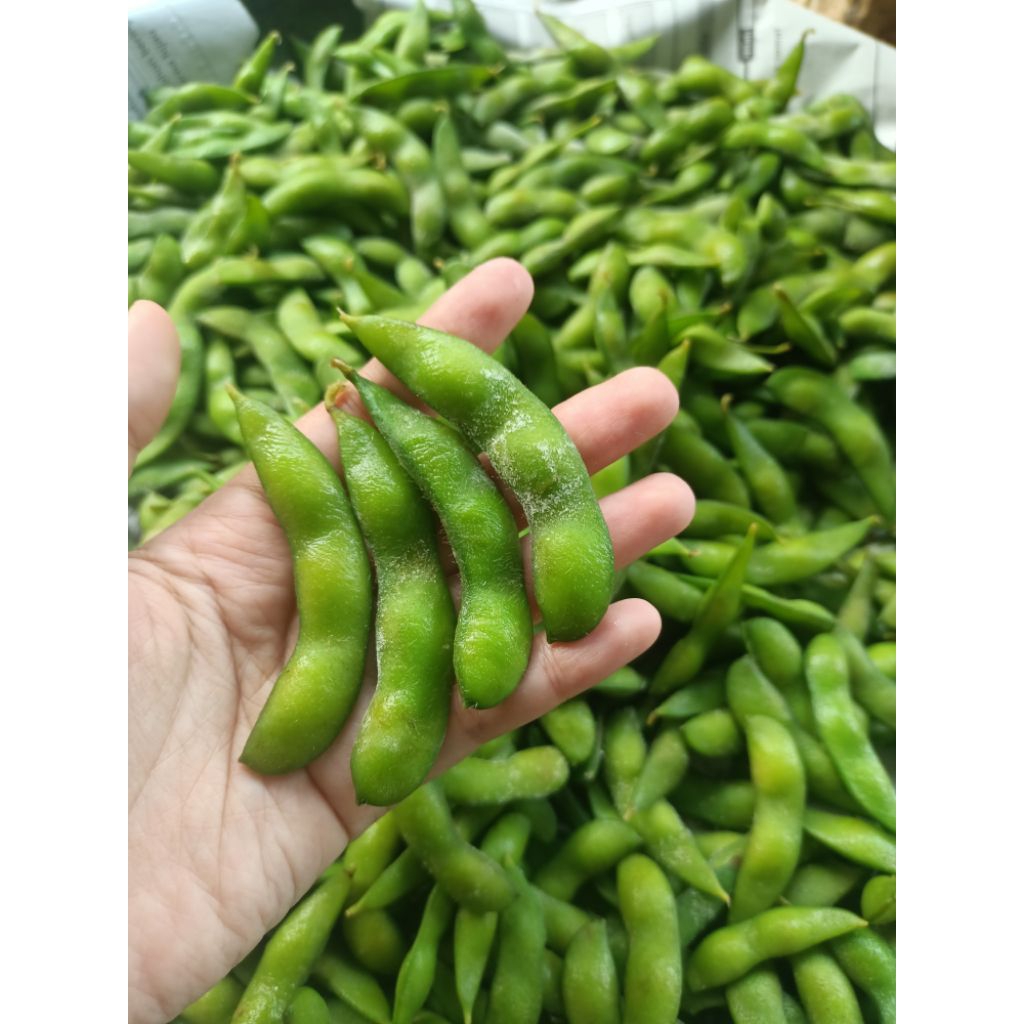

Edamame Fresh / Cemilan Kacang Edamame Fresh