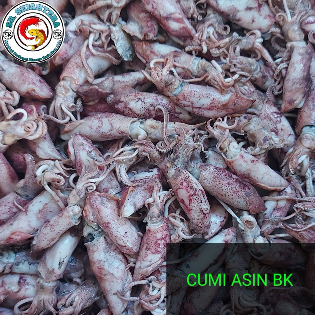 

CUMI ASIN BK/REBUS PILIHAN 250gr 500gr