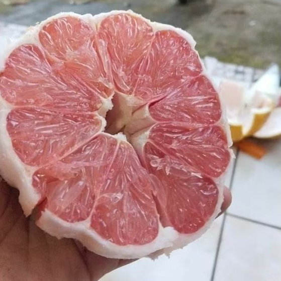 

jeruk pamelo madu muria berat 700-800gram, manis, tanpa biji,