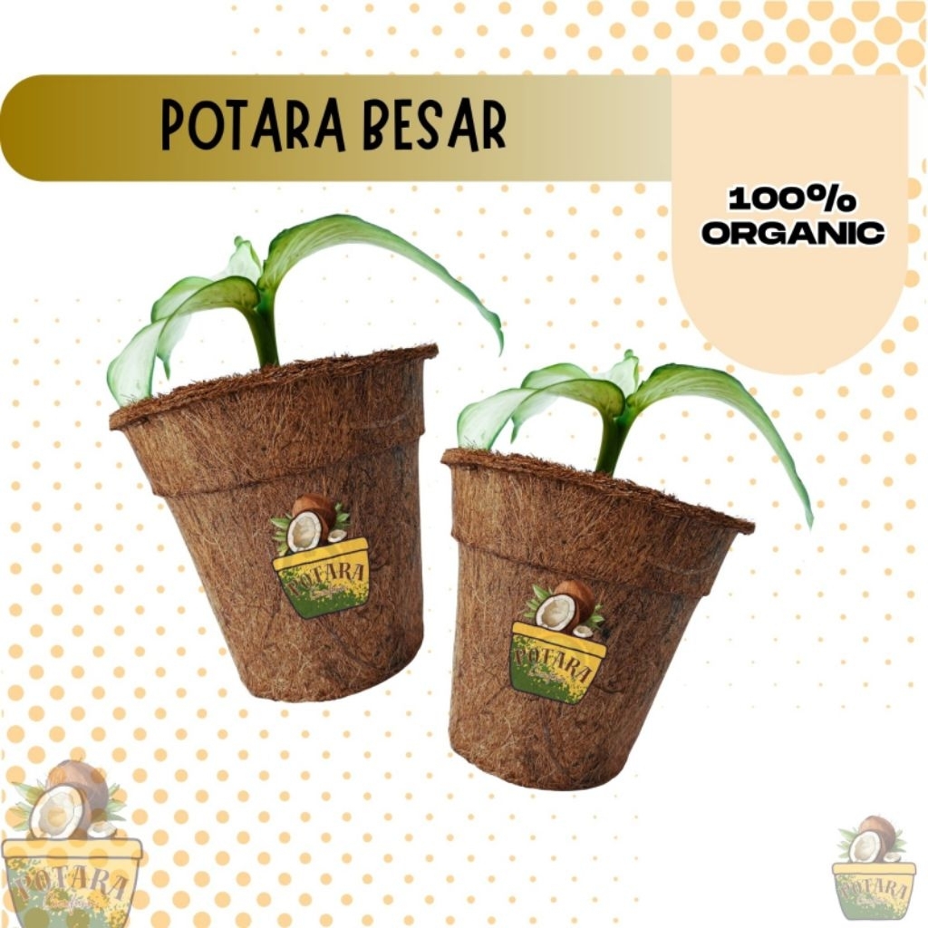 POTARA - Pot Cocofiber Pot Bunga Pot Tanaman Bulat Besar | Diameter 16,5cm