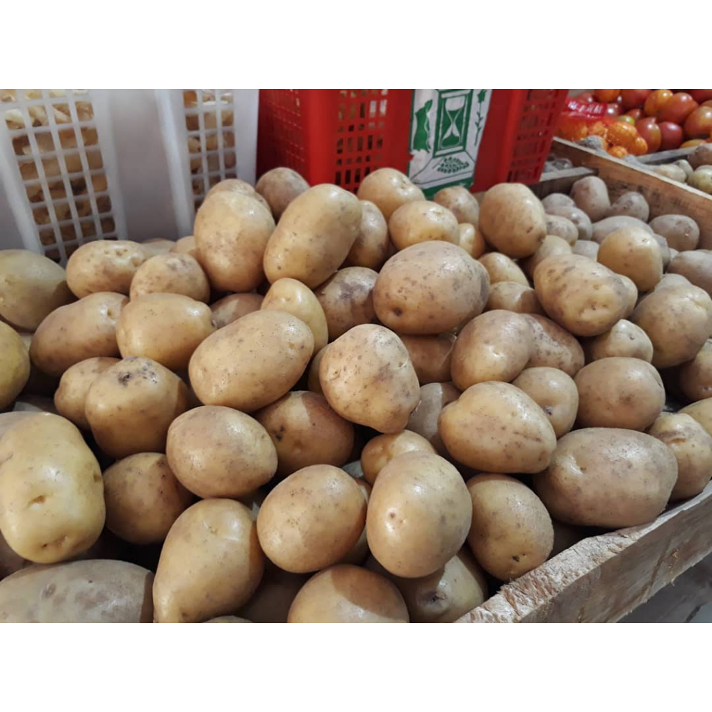 

Kentang super fresh granola 500gr sayuran segar