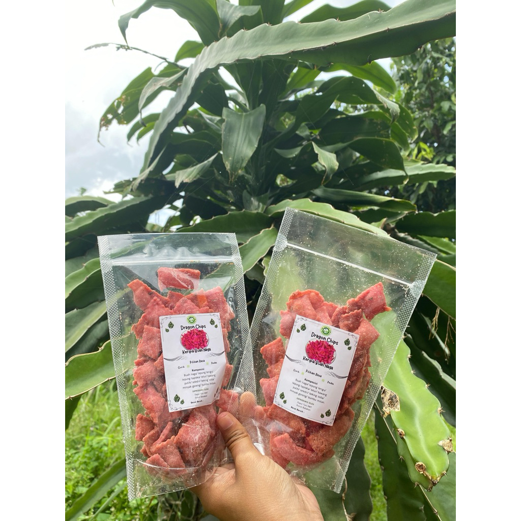 

Pangsit Buah Naga Merah 70 Gram Best Seller 2025