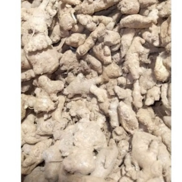 

JAHE EMPRIT KECIL / LELES FRES