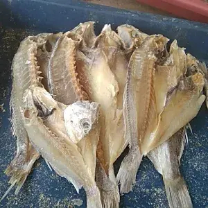 

Ikan Asin Sangge