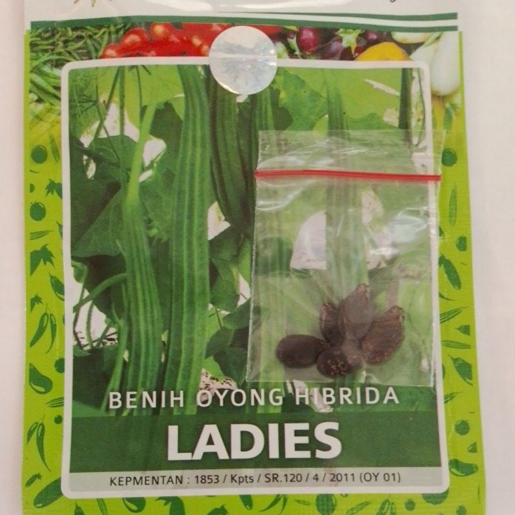 Bibit/benih Oyong Hibrida (Gambas) LADIES ecer