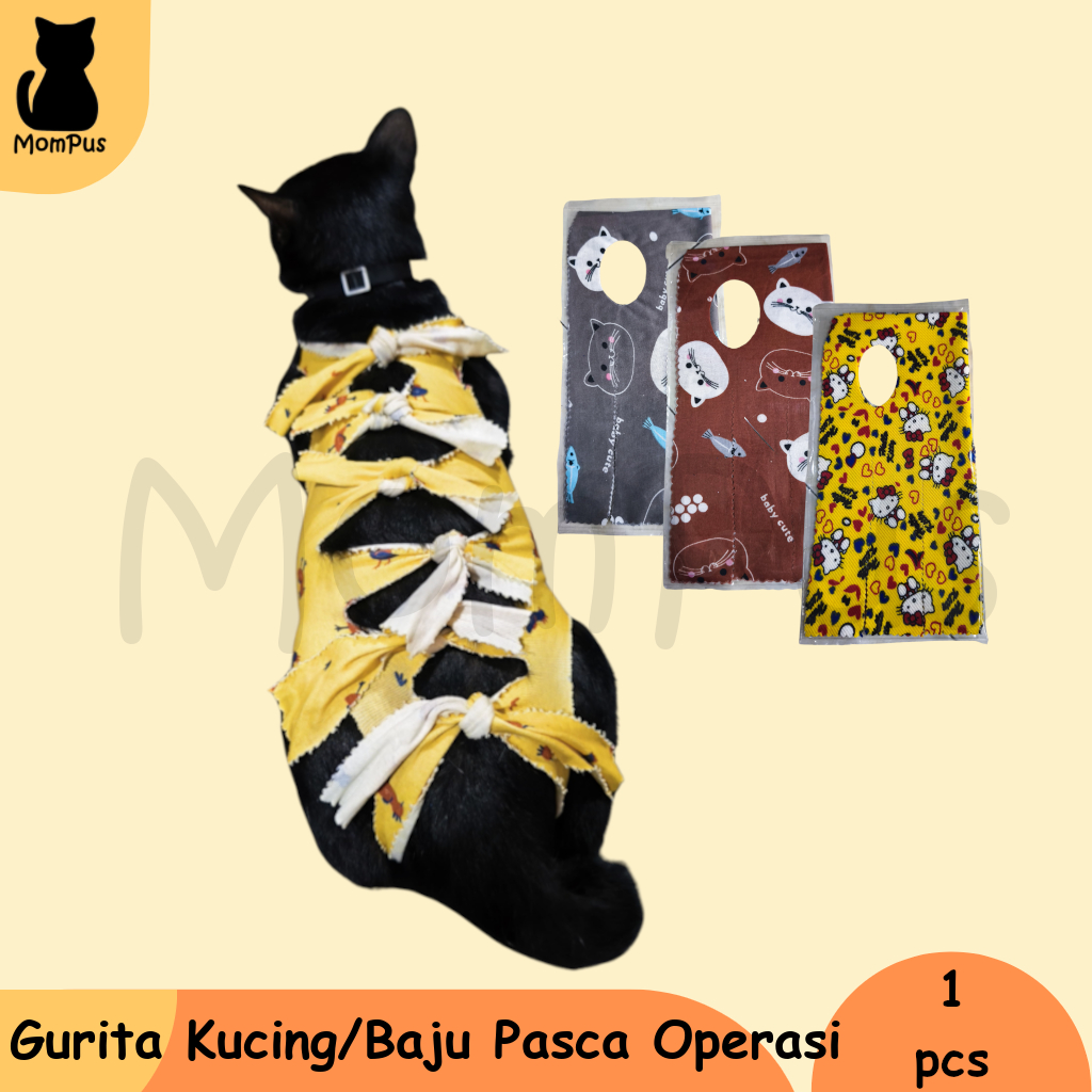 Gurita Baju Kucing Pasca Operasi