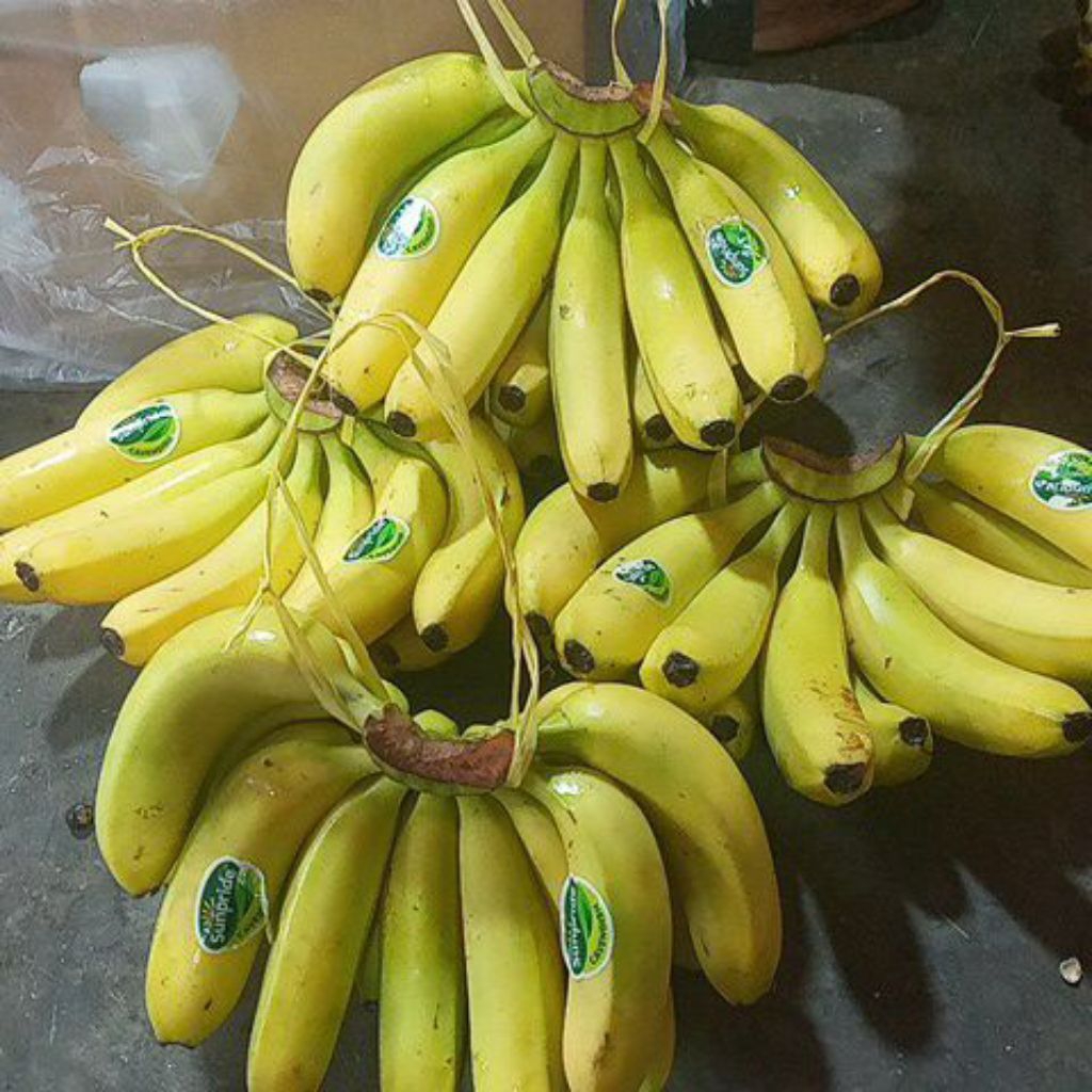 

Pisang Sunpride 1 sisir