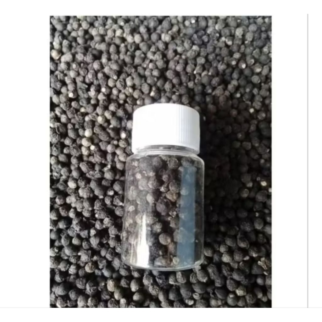 

buah binahong keting super aslic100 butir