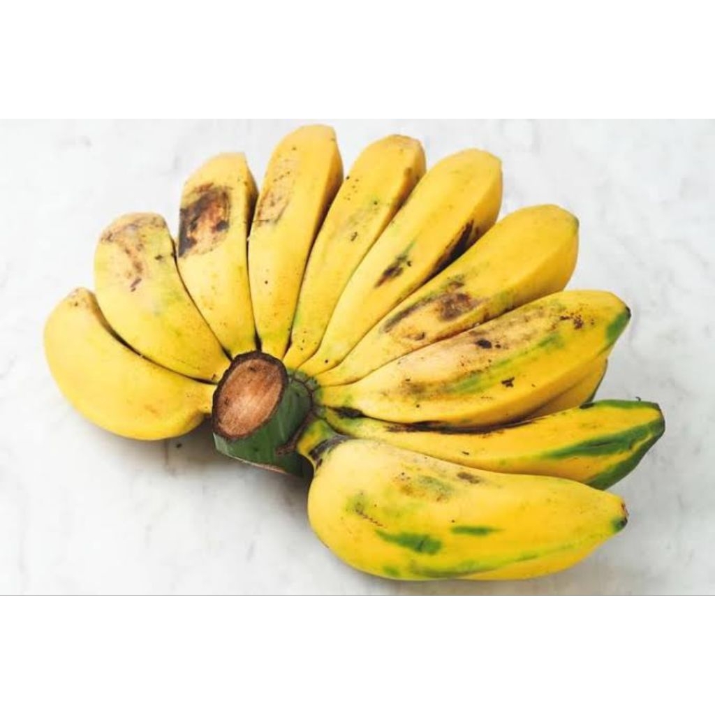 

Pisang kepok/pisang gajih per sisir