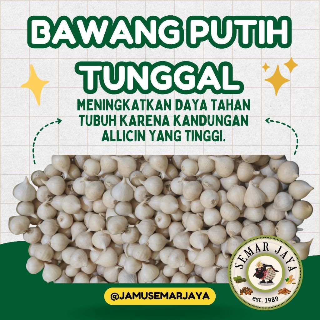 

SEMAR JAYA | BAWANG PUTIH TUNGGAL (BAWANG LANANG) KUALITAS SUPER